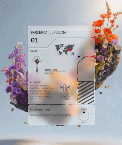 Botanical Cards